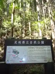 名草厳島神社の自然