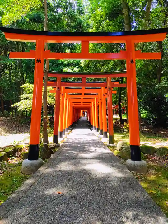 橿原神宮(奈良県)