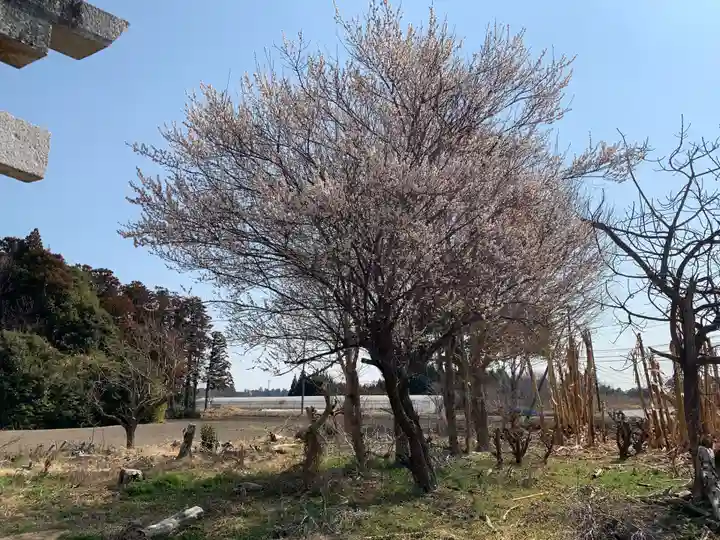 白山比咩神社(千葉県)