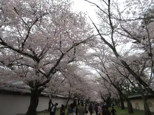 醍醐寺の景色