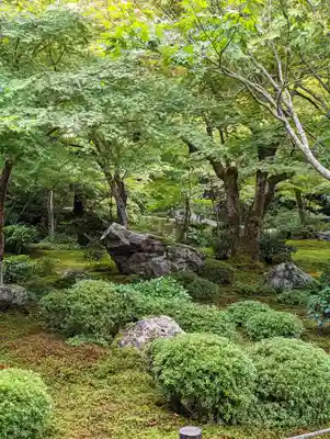 圓光寺(京都府)