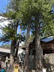 三峯神社(埼玉県)