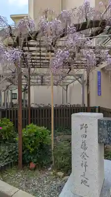 藤之宮 春日神社(野田の藤跡)(大阪府)
