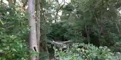 木嶋坐天照御魂神社の周辺