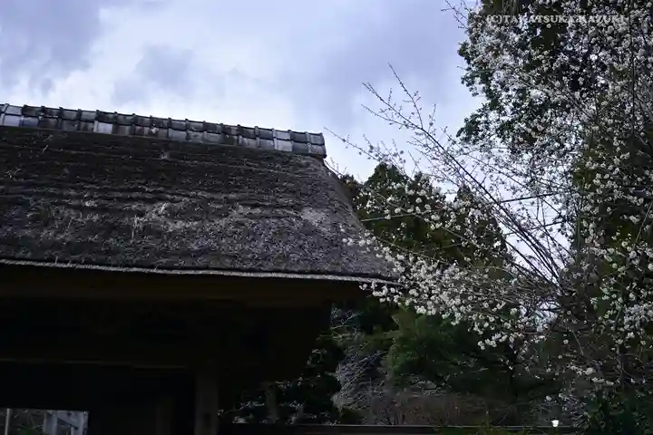 香取神宮(千葉県)