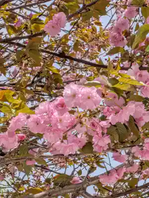 藤神稲荷神社(東京都)