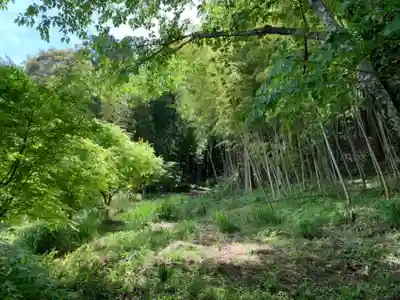 大日天子堂の自然