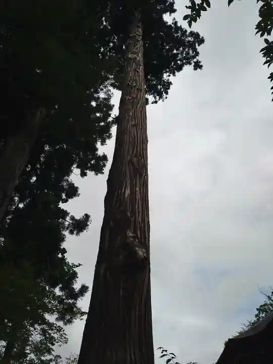 若松寺(山形県)