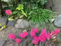 荘嚴浄土寺の自然