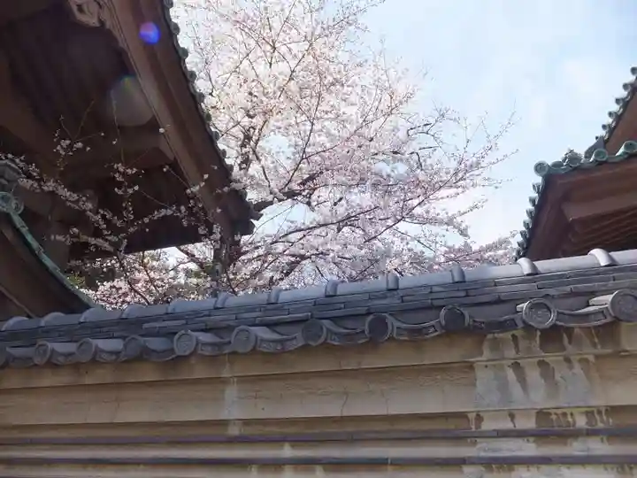 湯島聖堂のその他建物