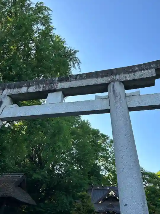 玉敷神社(埼玉県)