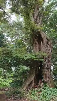蛟蝄神社奥の宮のその他建物