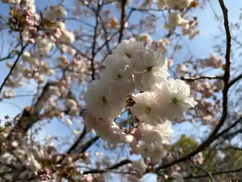 大阪天満宮(大阪府)