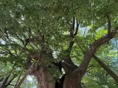 金峯神社(新潟県)