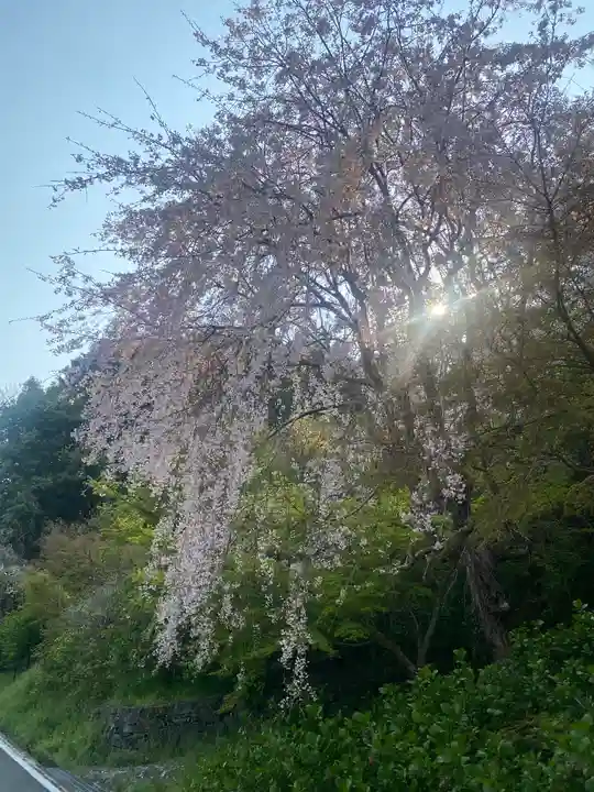 勝利寺(和歌山県)