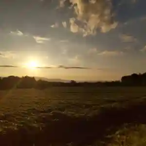 七重浜海津見神社(北海道)(2023年08月25日(金) 09時07分23秒投稿)