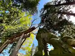 武水別神社の狛犬