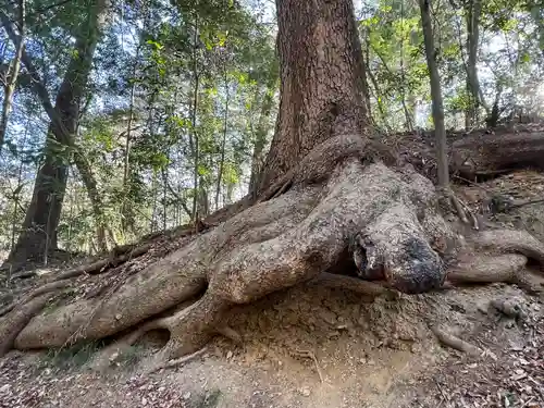 宝登山神社奥宮(埼玉県)
