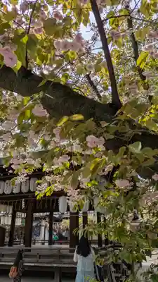 白峯神宮(京都府)