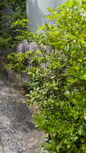 尊陽院(京都府)