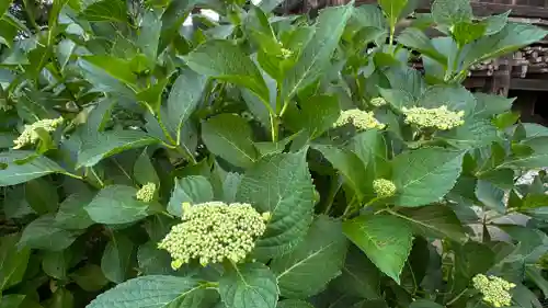 善光寺(山形県)