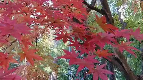 冠稲荷神社の自然