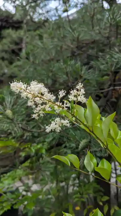 行願寺(革堂)(京都府)
