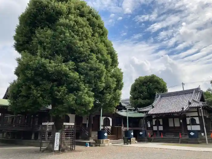 題経寺（柴又帝釈天）の本殿