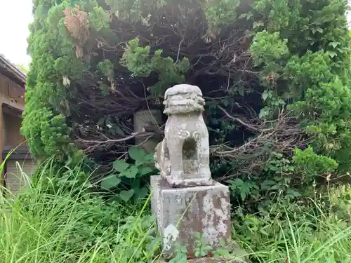 高子神社の狛犬