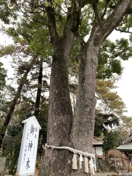 玉村八幡宮の建物その他