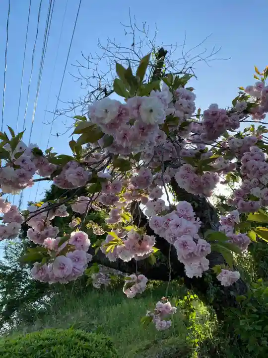 延命寺(福島県)