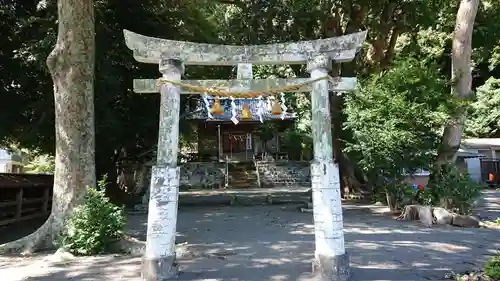 片菅神社の鳥居