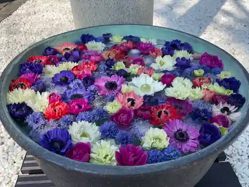 草加神社の手水