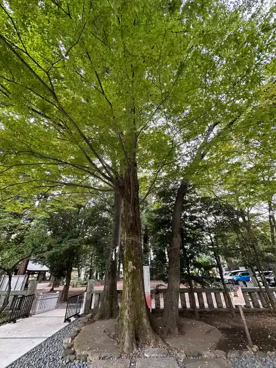 布多天神社(東京都)