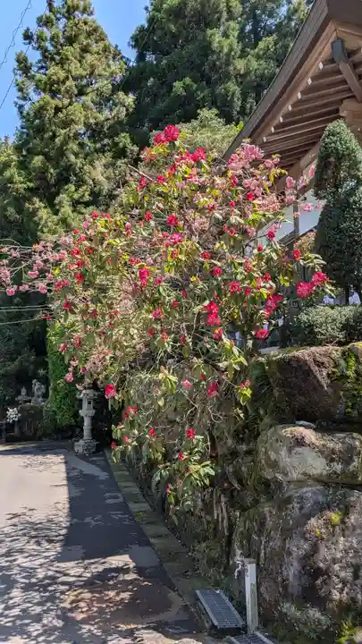文殊院(福岡県)