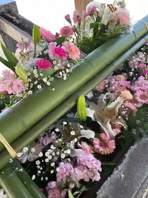 草加神社(埼玉県)