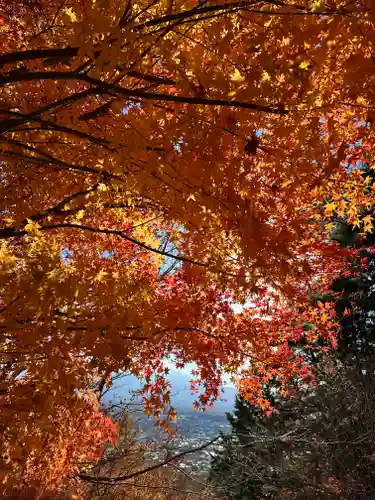 新倉富士浅間神社(山梨県)