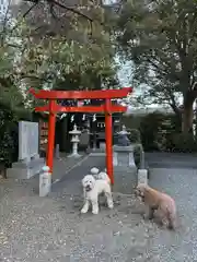 日吉神社(神奈川県)