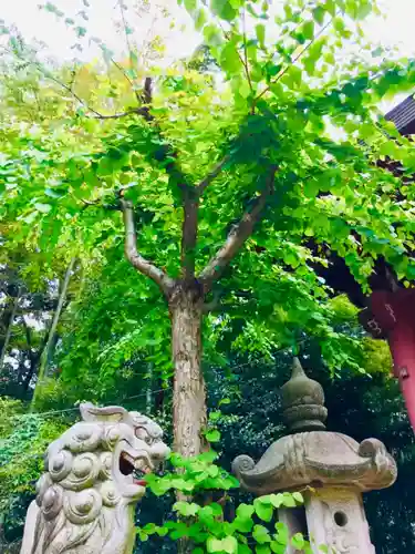 大宝八幡宮の狛犬