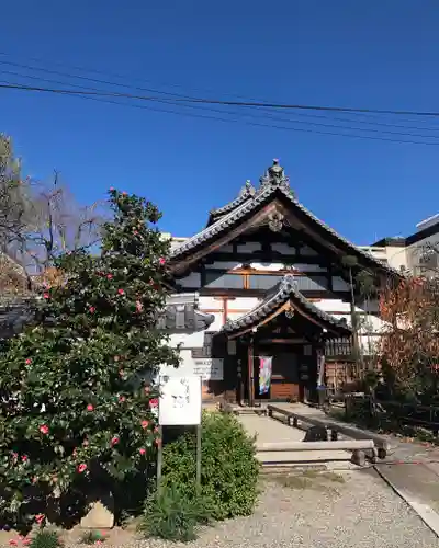 妙蓮寺の庭園