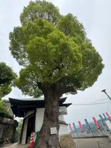 千光寺(広島県)