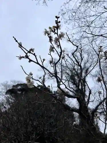 成田山新勝寺(千葉県)