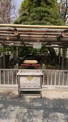 題経寺（柴又帝釈天）の手水舎