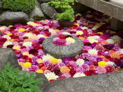 岡寺（龍蓋寺）(奈良県)