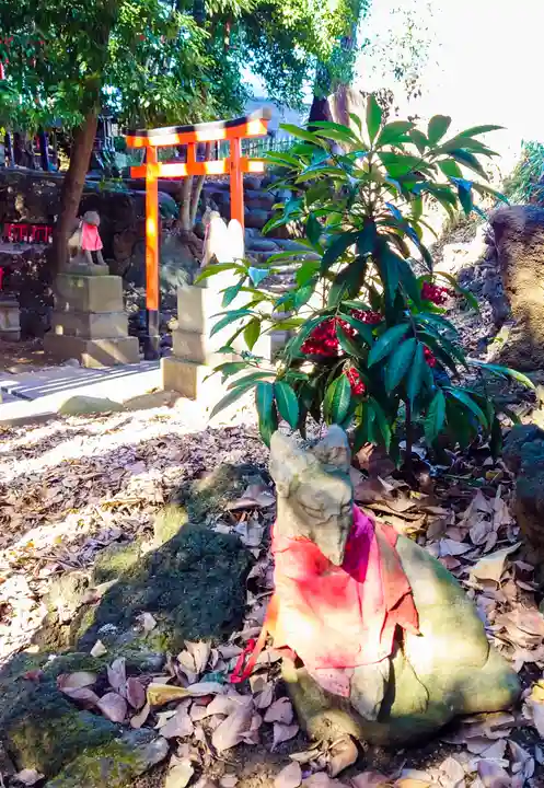 澤蔵司稲荷(慈眼院)の狛犬