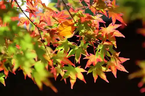 滑川神社 - 仕事と子どもの守り神の自然
