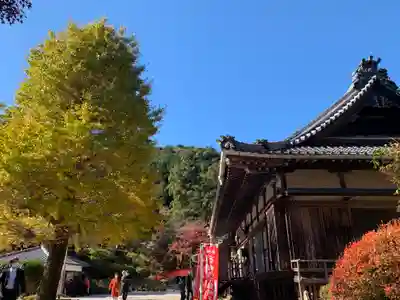 普門寺(切り絵御朱印発祥の寺)のその他建物