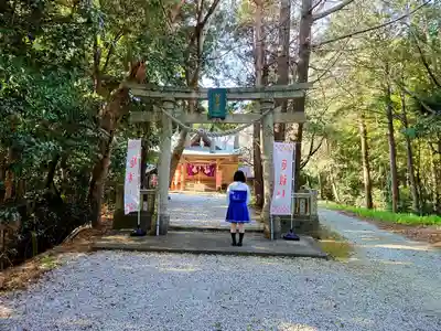 新宮神社の鳥居