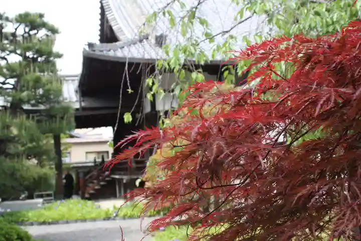 得浄明院(善光寺別院)(京都府)
