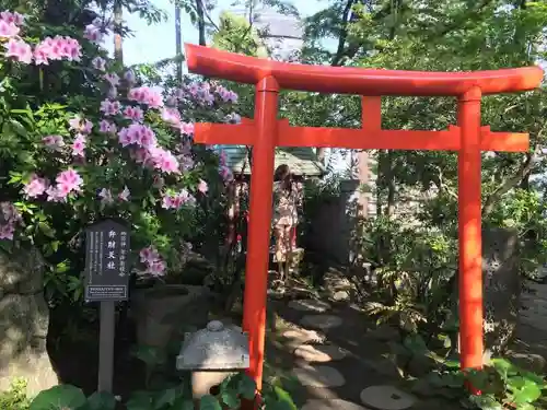 愛宕神社の鳥居